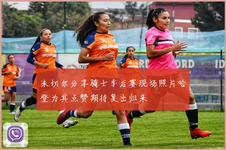 米切尔分享骑士季后赛现场照片哈登为其点赞期待复出归来